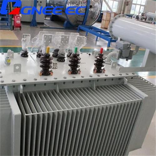 Oil Immersed Transformers